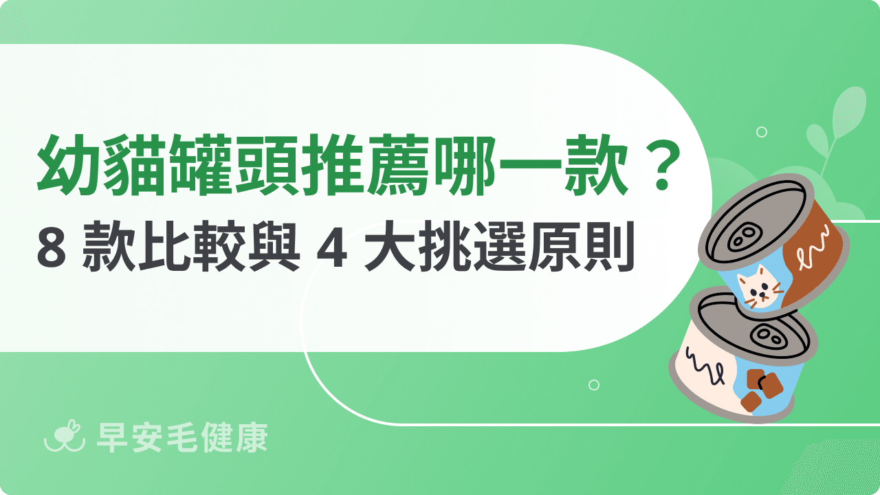 幼貓罐頭推薦!2026 精選 8 款高人氣品牌與 4 大挑選重點
