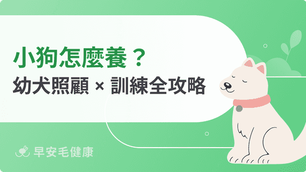 小狗怎麼養？新手必讀幼犬照顧 × 品種 × 訓練全攻略