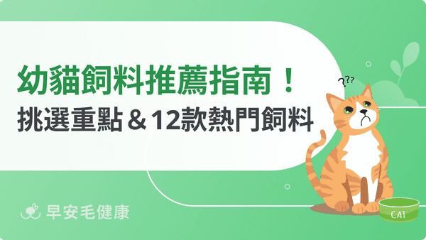 幼貓飼料推薦買哪種？6大挑選重點＆12款熱門飼料不藏私分享！