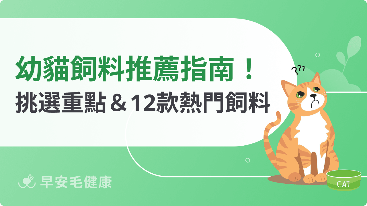 幼貓飼料推薦買哪種？6大挑選重點＆12款熱門飼料不藏私分享！