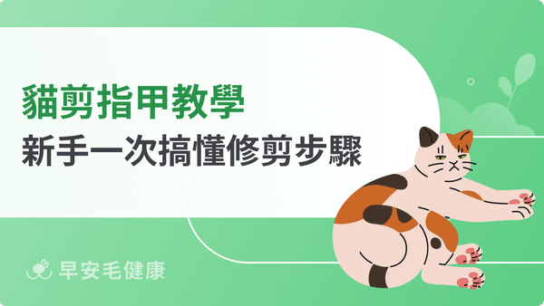 貓剪指甲教學指南看這篇!一次搞懂修剪步驟,新手也能輕鬆上手!