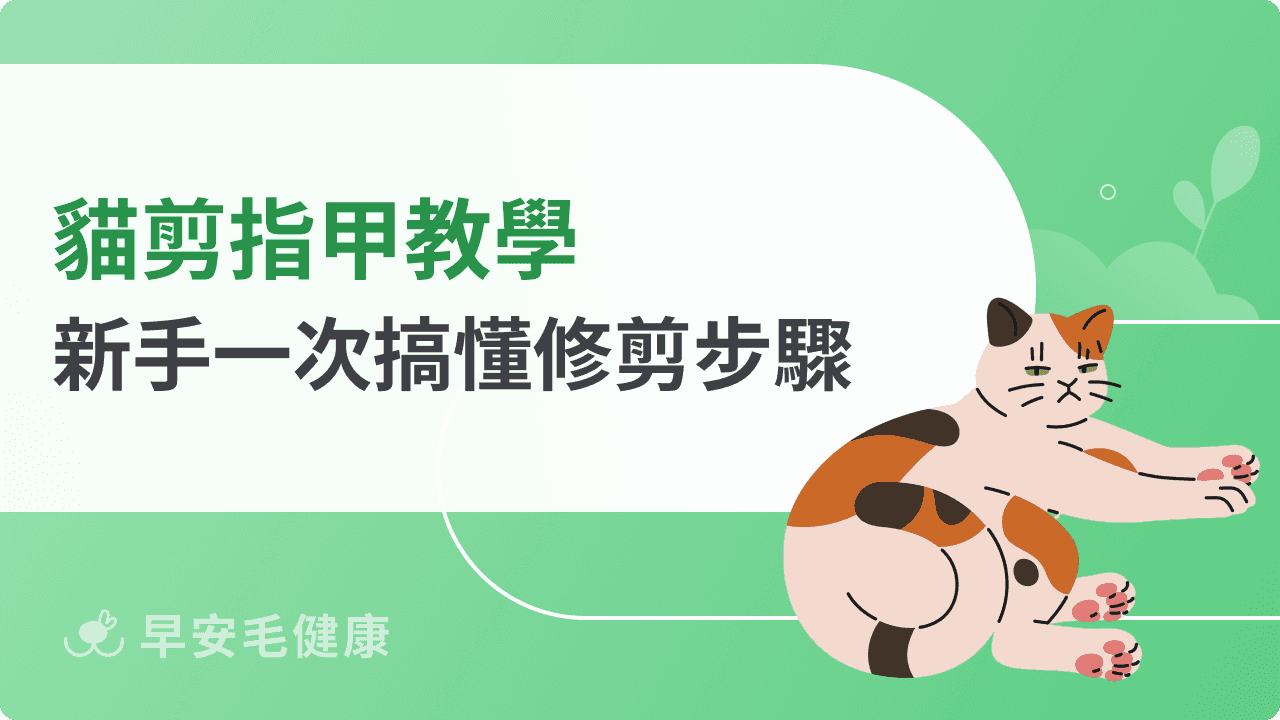 貓剪指甲教學：修剪5步驟，讓貓不再害害怕