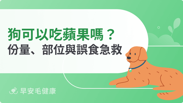 狗可以吃蘋果嗎?可以但籽和果核不行!份量、蘋果皮與誤食處理