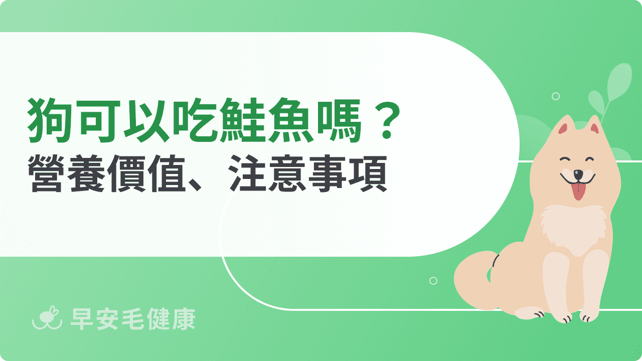 狗可以吃鮭魚嗎？一起認識讓狗狗安心吃鮭魚的黃金守則