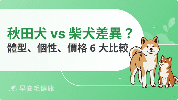 秋田犬 vs 柴犬差在哪？體型、個性、價格 6 大差異比較
