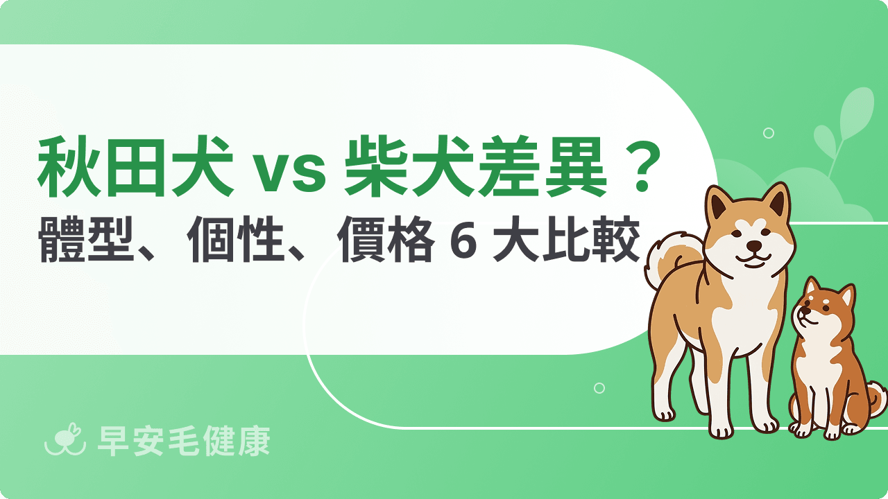 秋田犬 vs 柴犬差在哪?體型、個性、價格 6 大差異比較