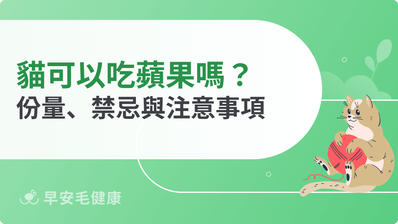 貓咪可以吃蘋果嗎？安全餵食份量、禁忌部位與注意事項整理