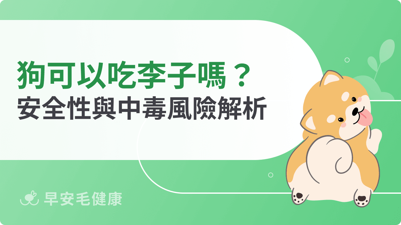 狗可以吃李子嗎？果肉、果核、李子乾風險完整解析