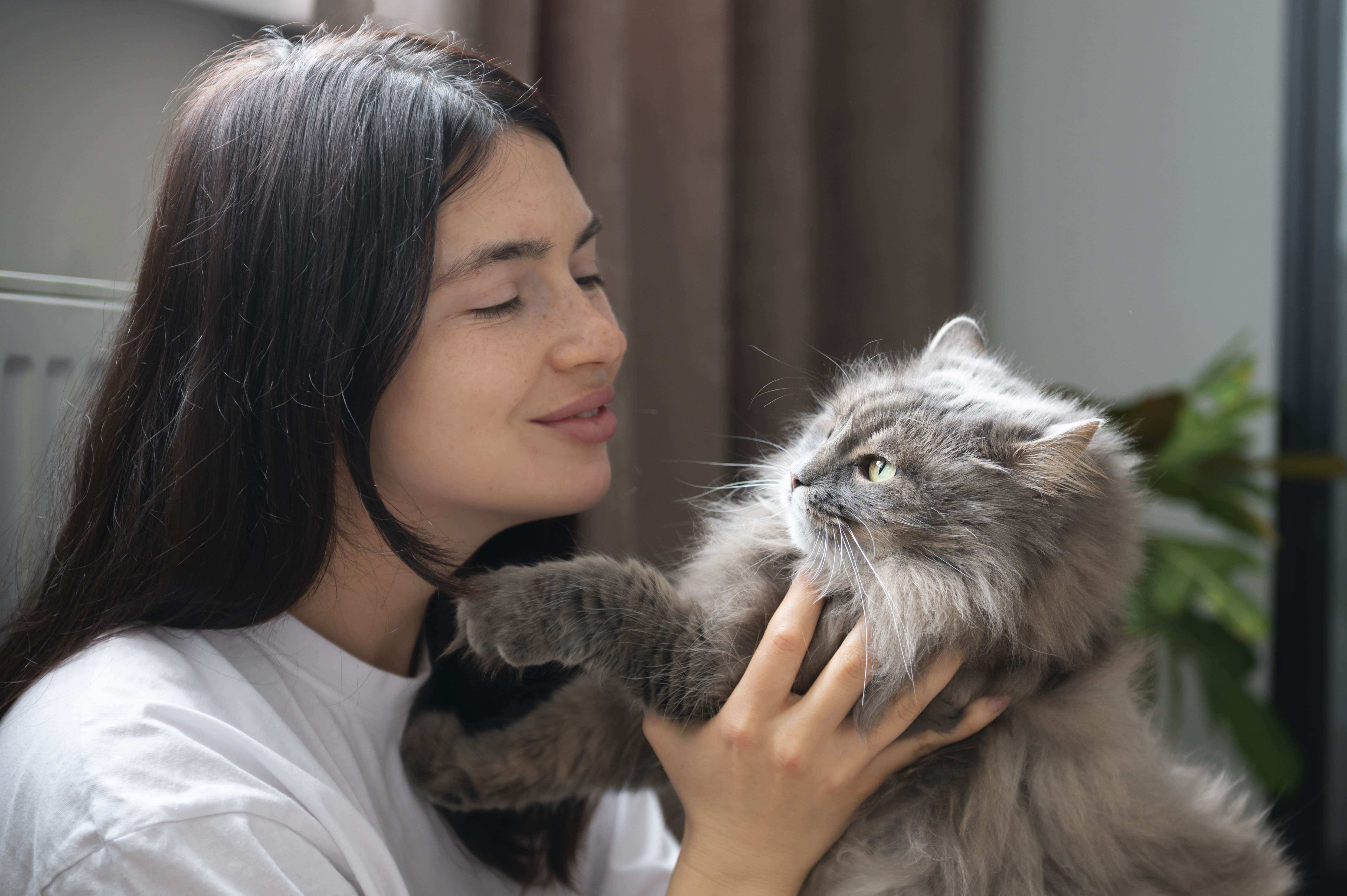 8.complete-guide-to-spay-female-cats-3