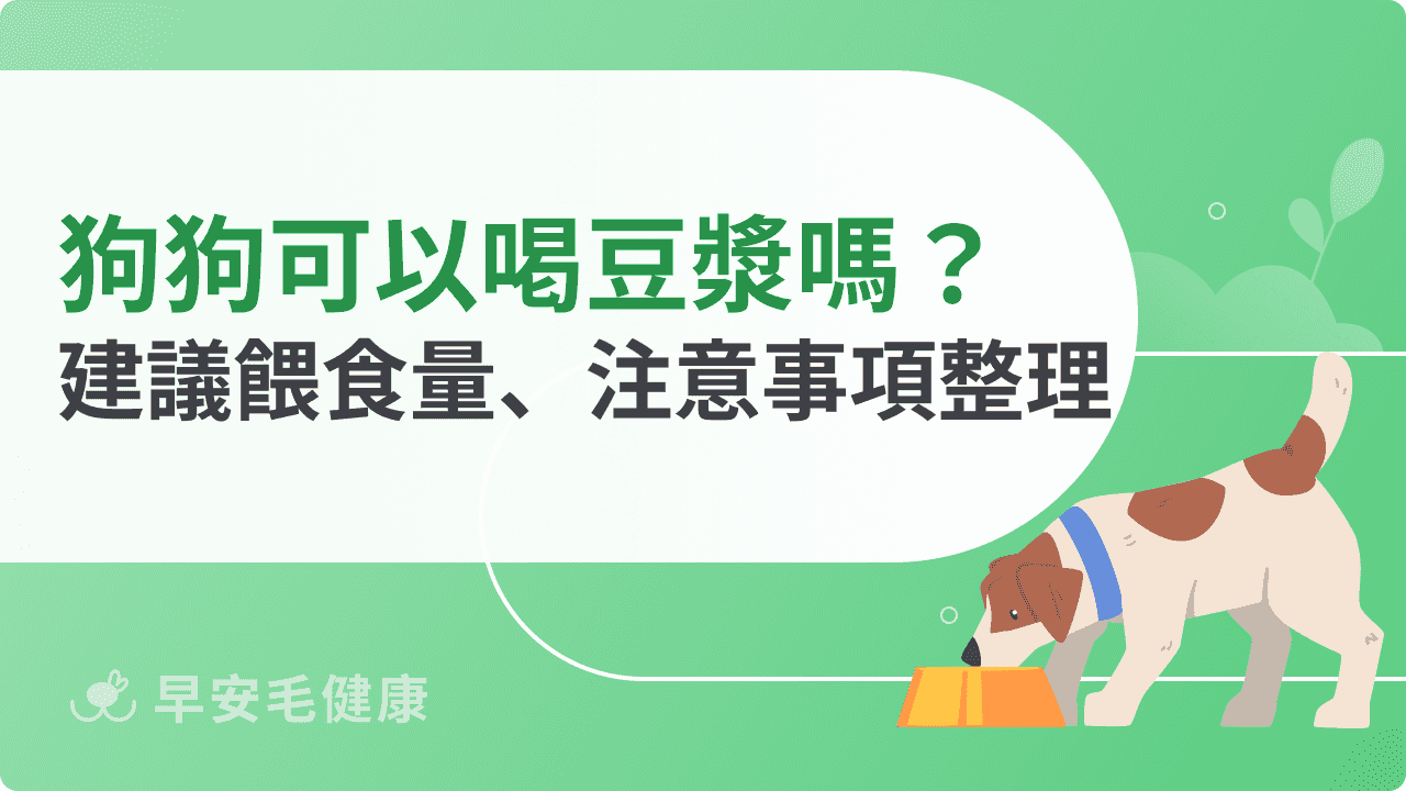 狗狗可以喝豆漿嗎？喝多恐傷身，掌握正確餵食量才健康！