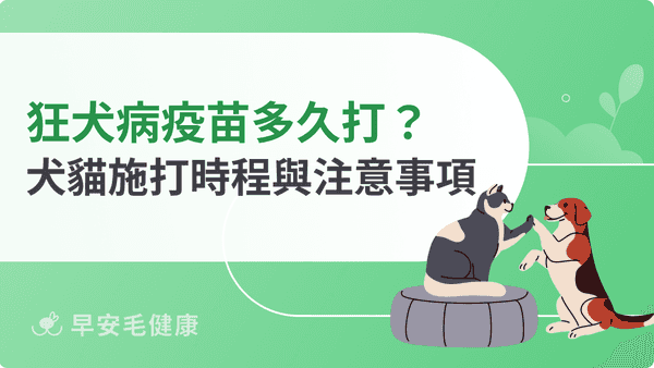 狂犬病疫苗多久打一次？施打頻率、費用、逾期罰則與貓犬差異