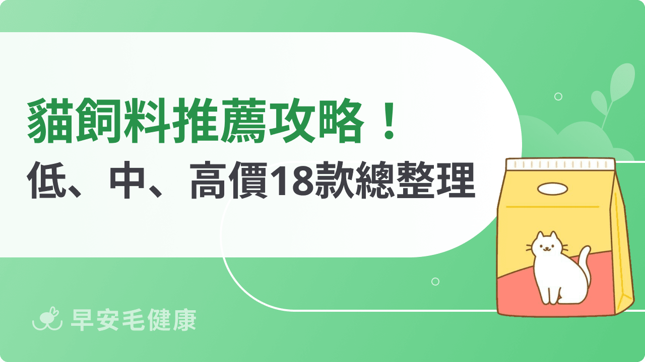 2026 貓飼料推薦：熱門低、中、高價位貓糧全收錄
