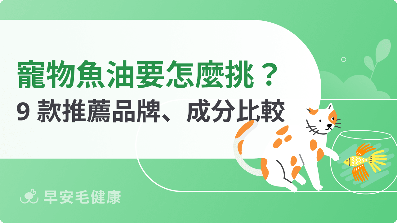 寵物魚油要怎麼挑?2026 年 9 款推薦品牌、成分比較與常見問題整理