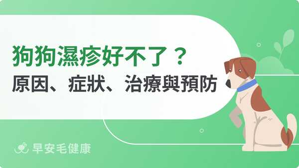 狗狗濕疹好不了?狗濕疹原因、症狀、治療與預防完整解析