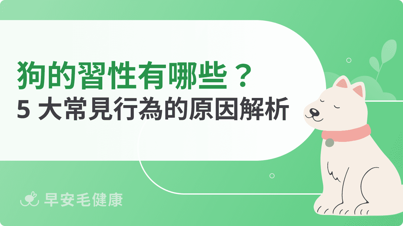 狗的習性有哪些?5 大常見行為的原因解析