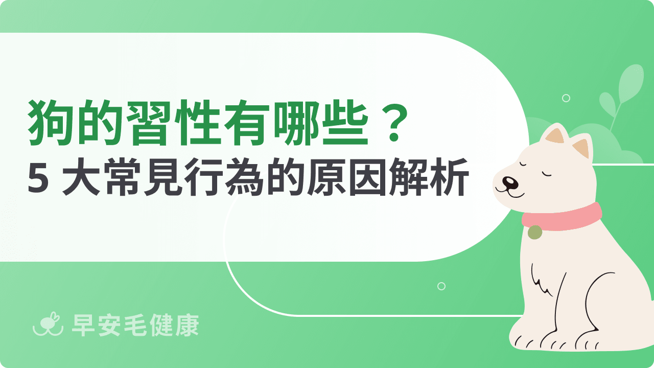 狗的習性有哪些?5 大常見行為的原因解析