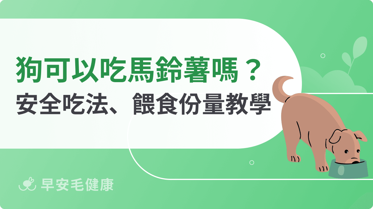 狗狗可以吃馬鈴薯嗎?安全吃法、餵食份量與注意事項