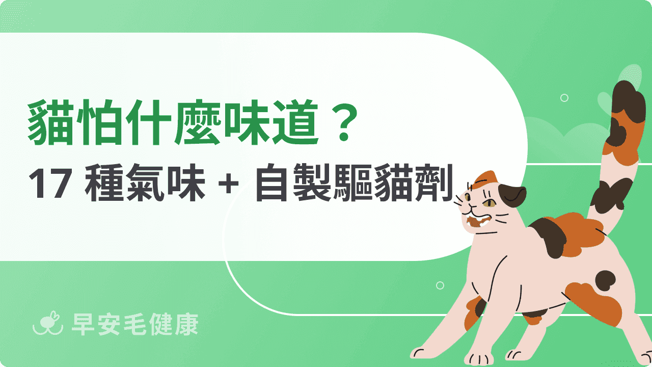 貓怕什麼味道?常見17種貓咪討厭味道原因與指南