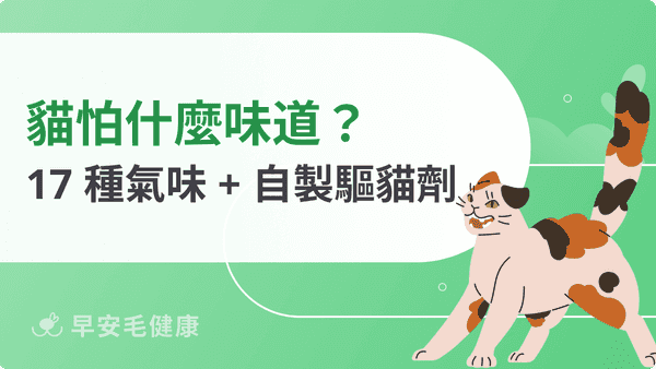 貓怕什麼味道？常見17種貓咪討厭味道原因與指南！