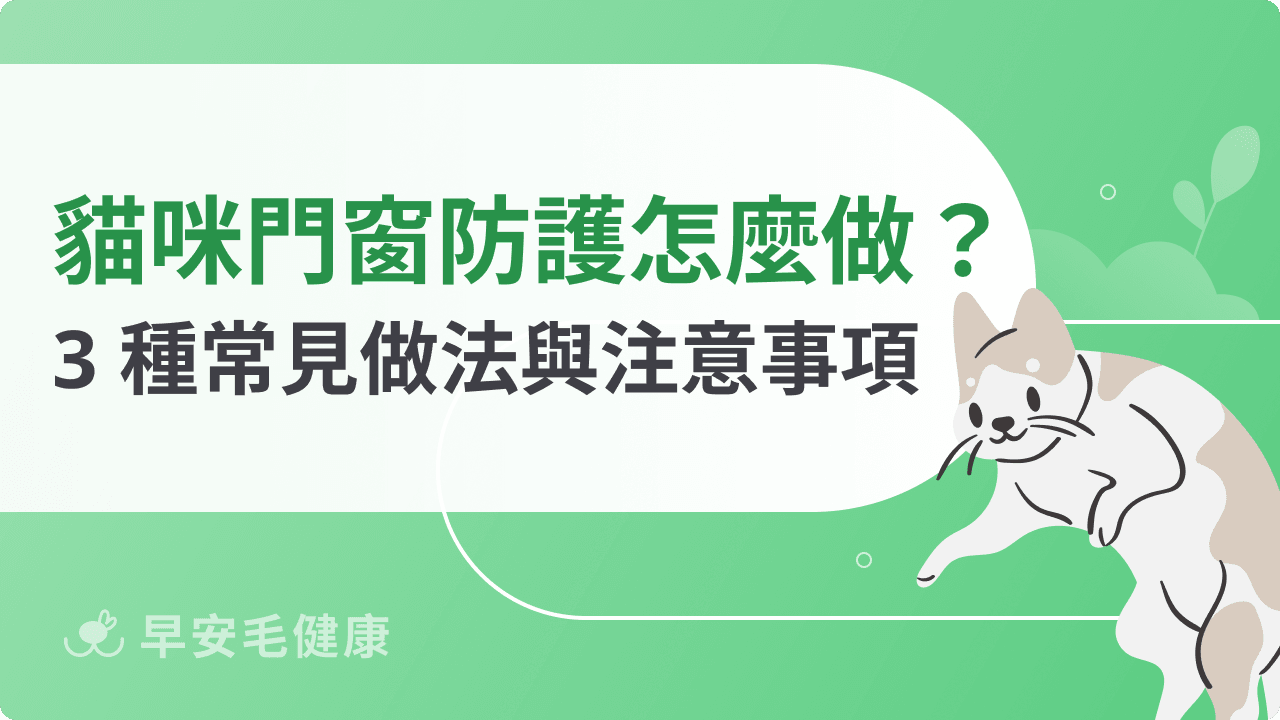 貓咪門窗防護怎麼做?8 種常見做法與注意事項整理