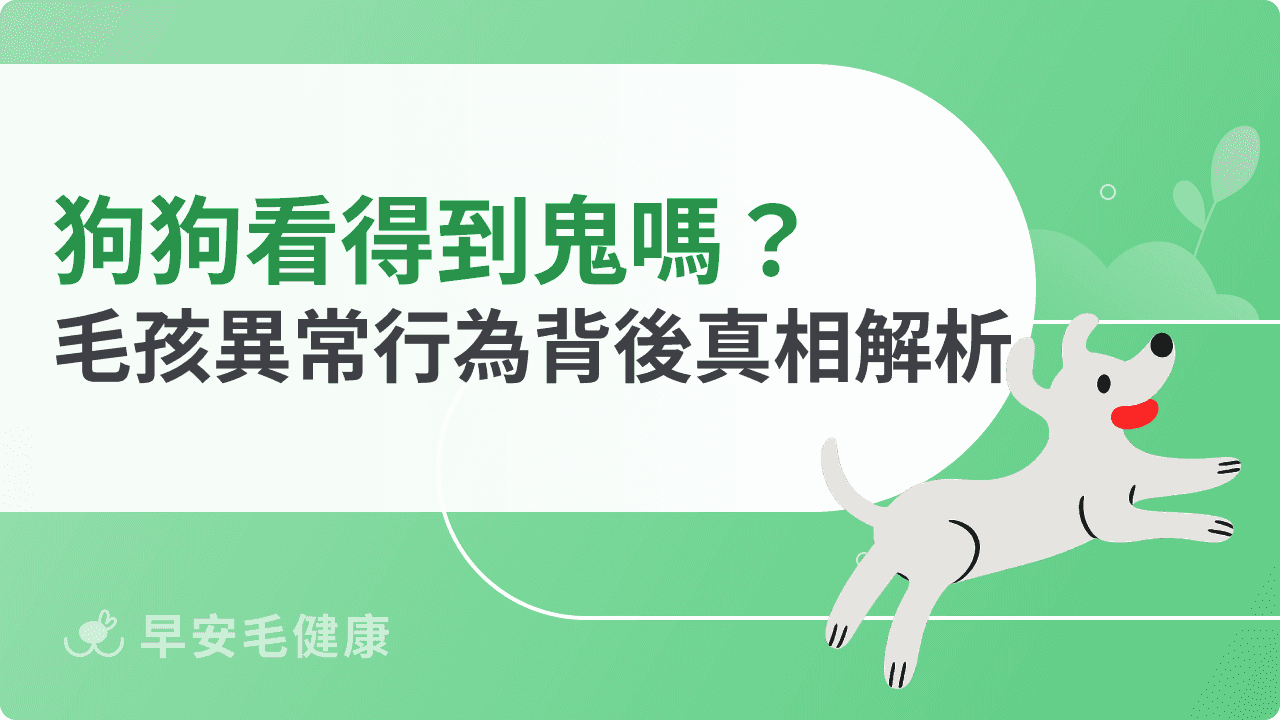 狗狗看得到鬼嗎?毛孩異常行為背後真相解析