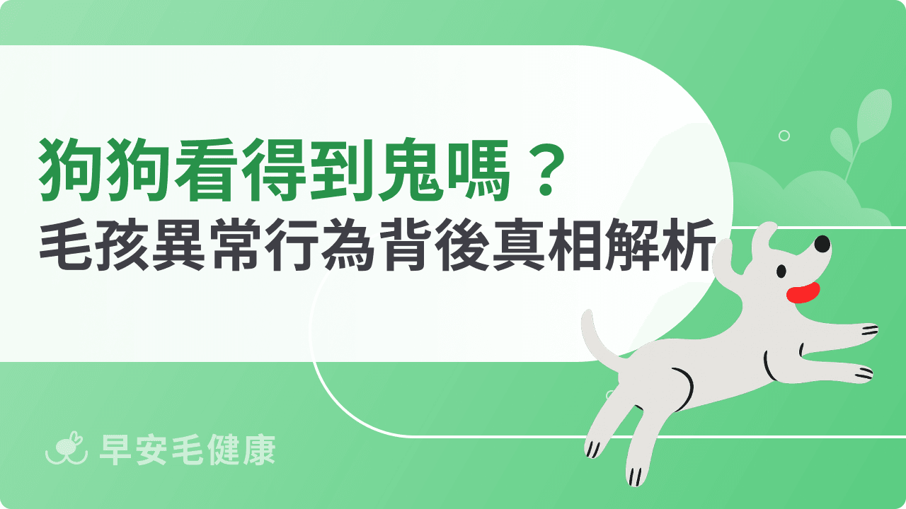 狗狗看得到鬼嗎?毛孩異常行為背後真相解析