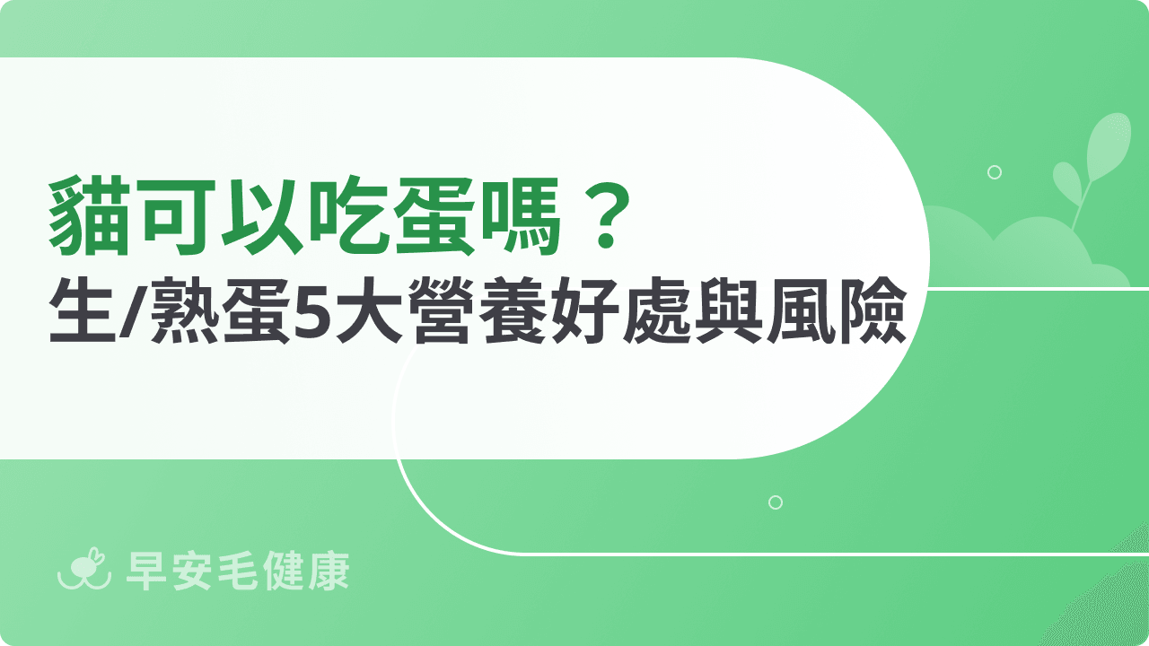 可以吃蛋嗎?生蛋熟蛋差在哪?一次搞懂營養好處和飲食風險