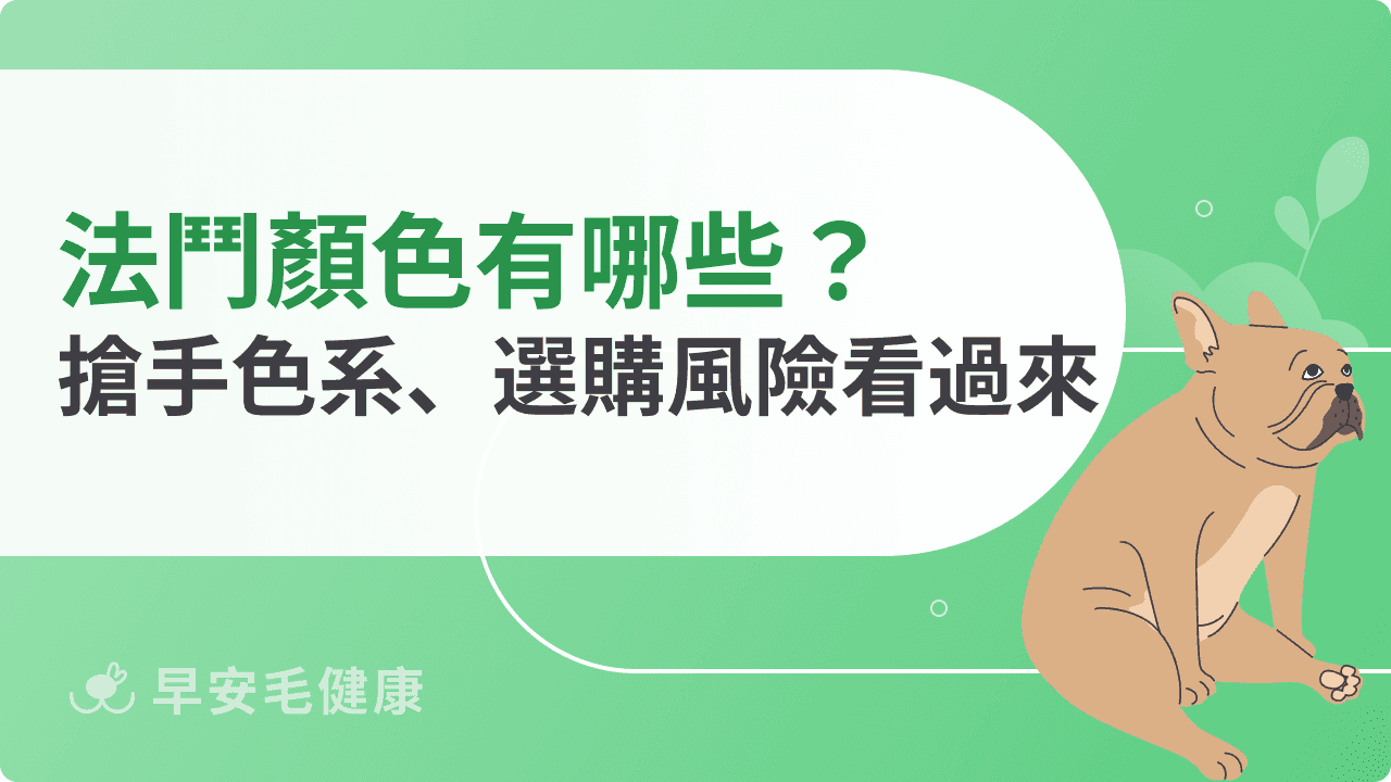 法鬥顏色熱門排行揭密！最搶手的色系＋選購風險看過來