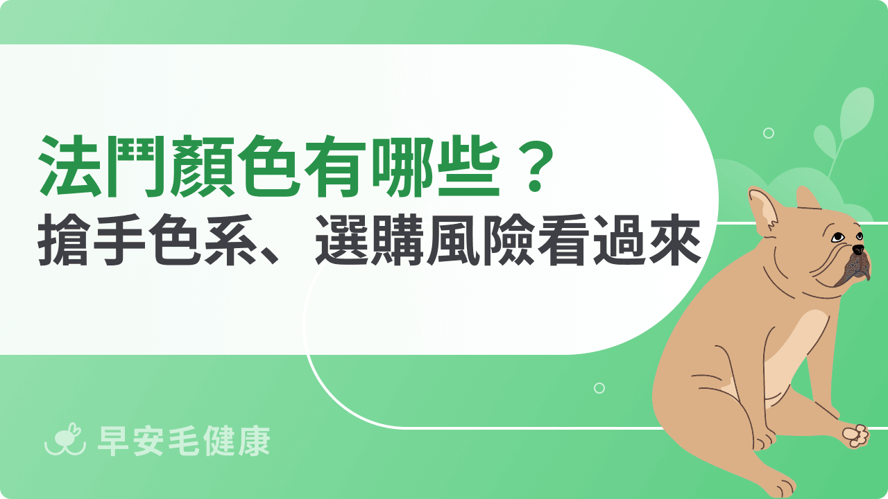 法鬥顏色熱門排行揭密!最搶手的色系+選購風險看過來