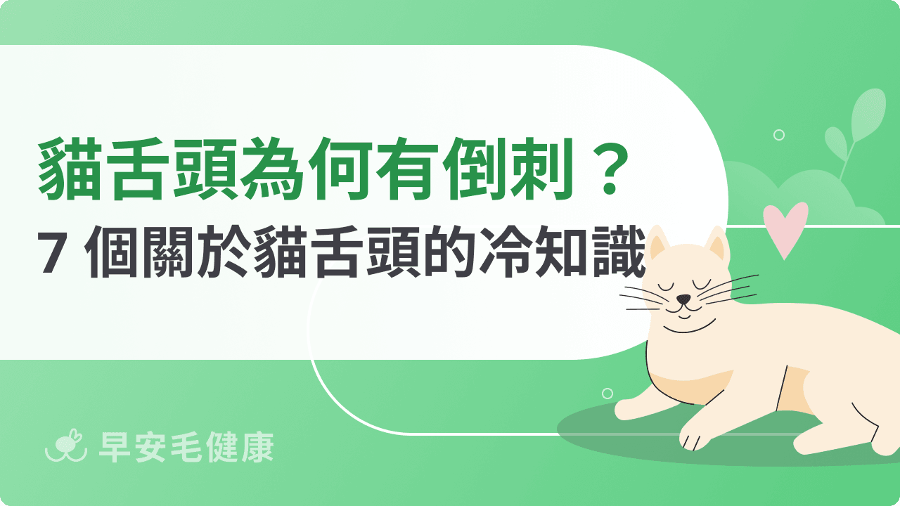 貓舌頭怕燙？舌頭倒刺 7 大功能、冷知識一次看