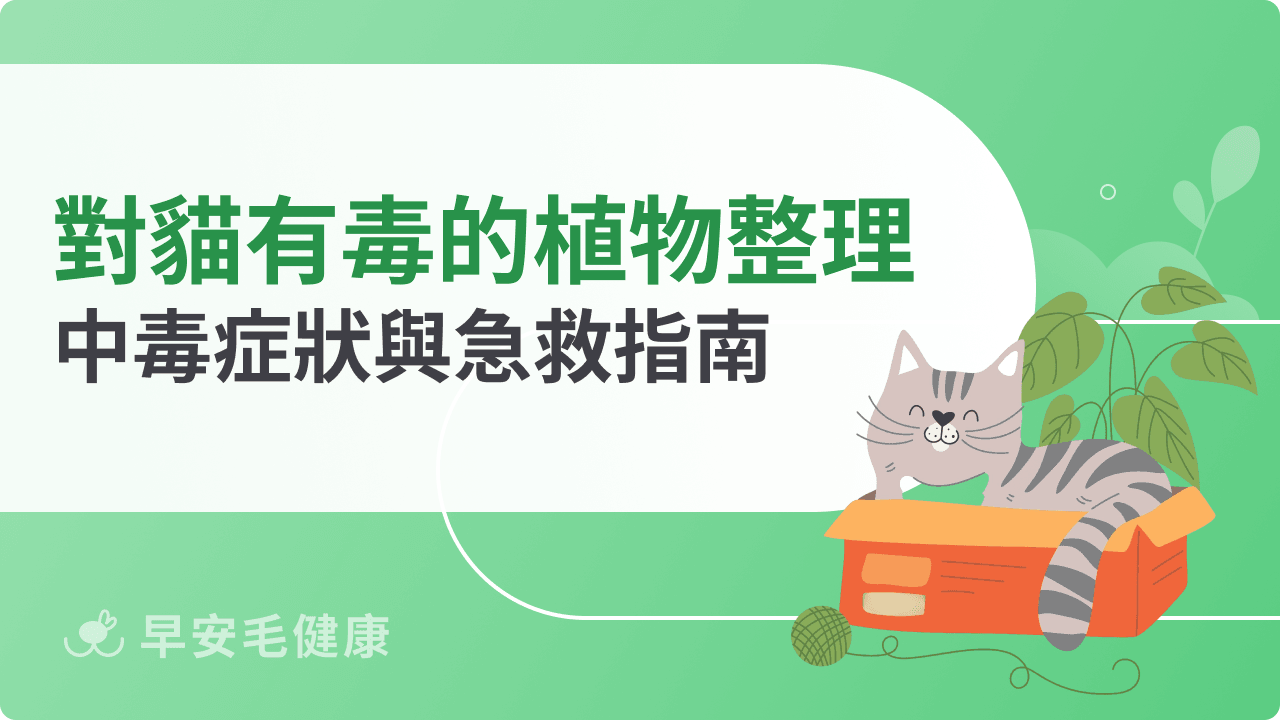 對貓咪有毒的植物有哪些？中毒症狀與急救指南