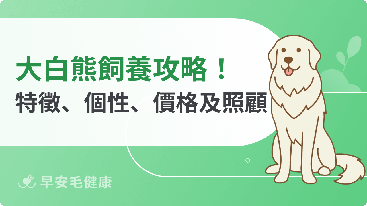 大白熊飼養攻略!外型特徵、個性、價格以及台灣照顧方式一次看