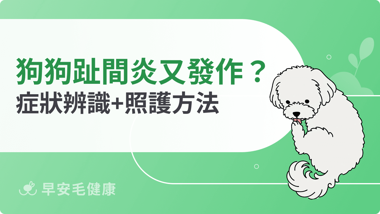 狗狗趾間炎怎麼辦?腳掌紅腫、5 大原因與藥膏優碘照護全指南