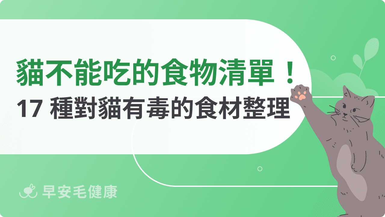 貓不能吃的食物清單！17 種對貓有毒的食材總整理