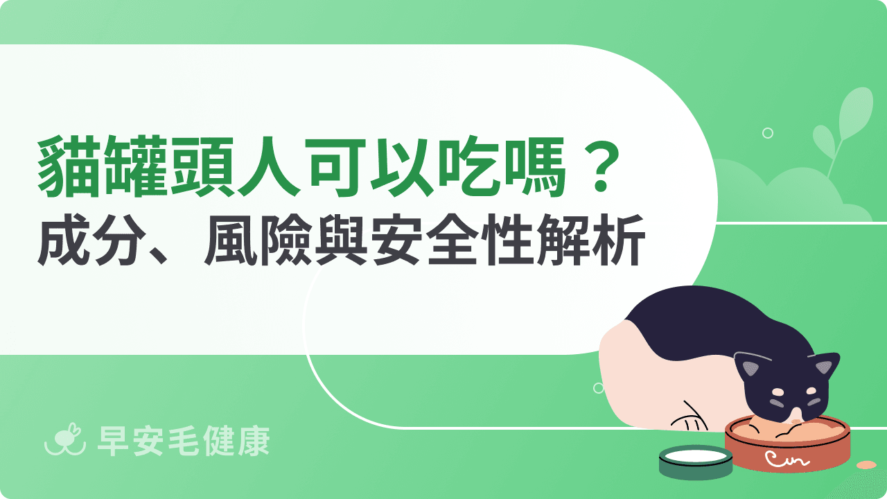 貓罐頭人可以吃嗎?成分、風險與安全性解析