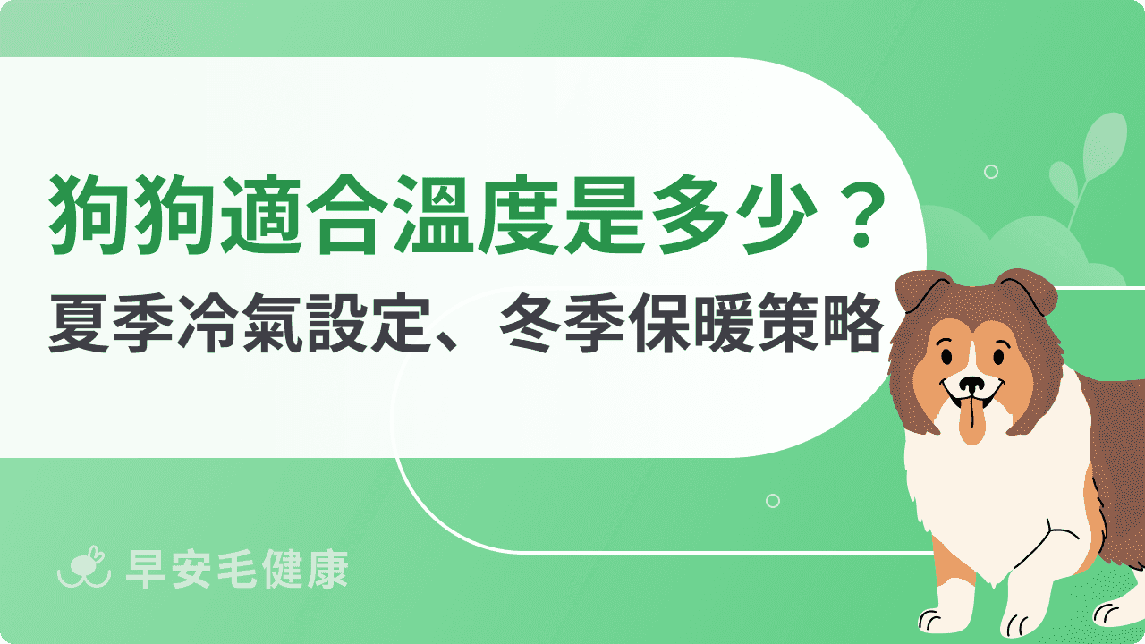 狗狗適合的溫度是多少?夏季冷氣設定、冬季保暖策略