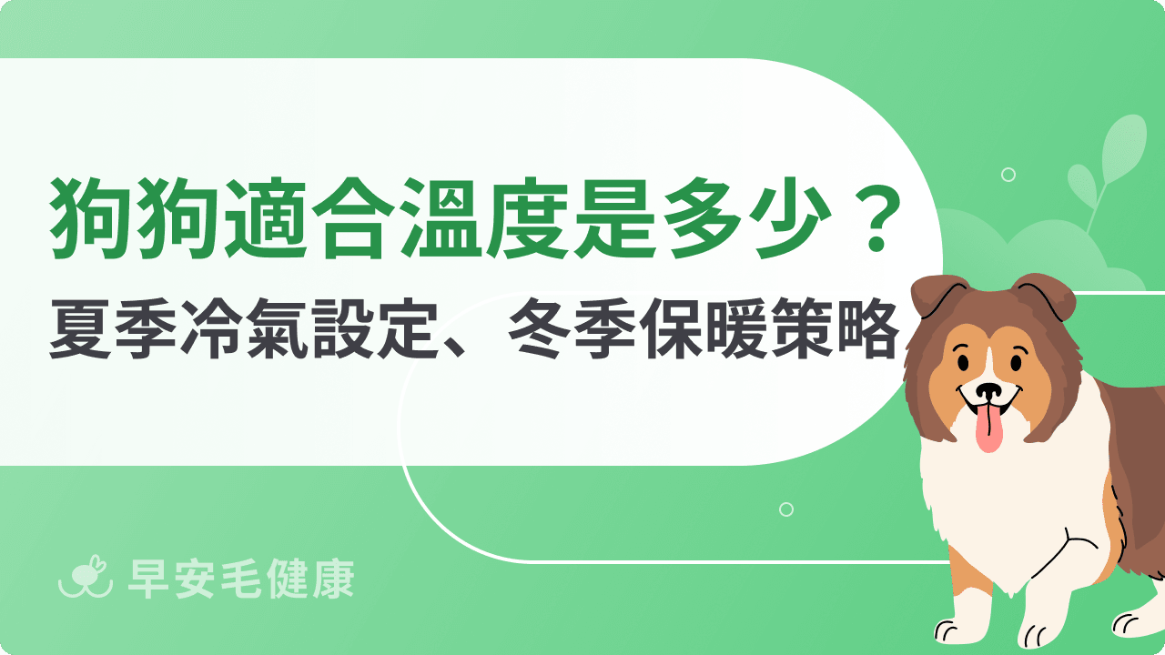 狗狗適合的溫度是多少?夏季冷氣設定、冬季保暖策略