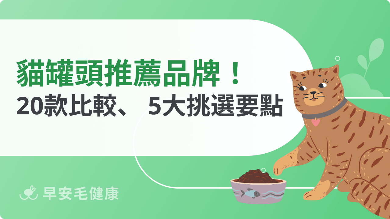 貓罐頭推薦！2026 網友好評 20 款熱門品牌與 5 大挑選要點