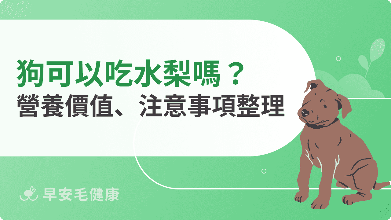 狗可以吃水梨嗎？營養價值＋注意事項一次看