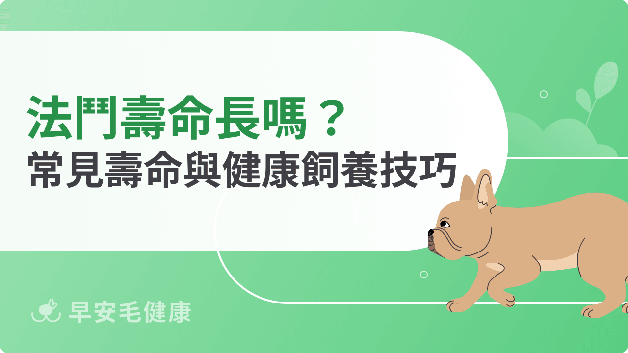 法鬥壽命有多長？研究數據、健康風險與延壽照護全解析