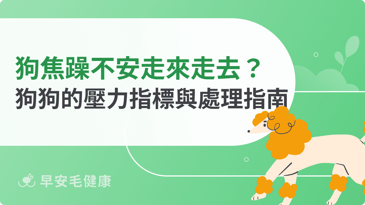 狗狗焦躁不安走來走去？狗狗的壓力指標與處理指南