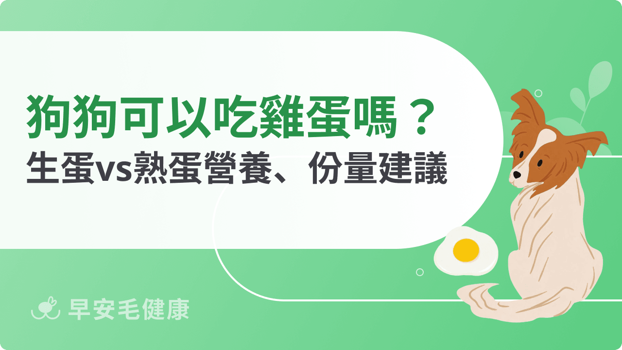 狗狗可以吃蛋嗎？生蛋熟蛋有差！營養好處、餵食份量與禁忌