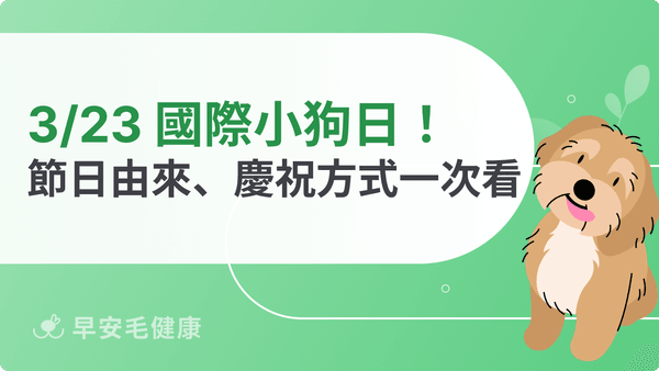 3/23 國際小狗日!節日由來、意義與4大慶祝方式報你知!