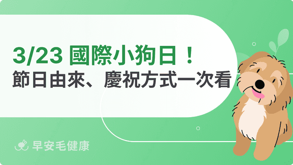 3/23 國際小狗日！節日由來、意義與4大慶祝方式報你知！