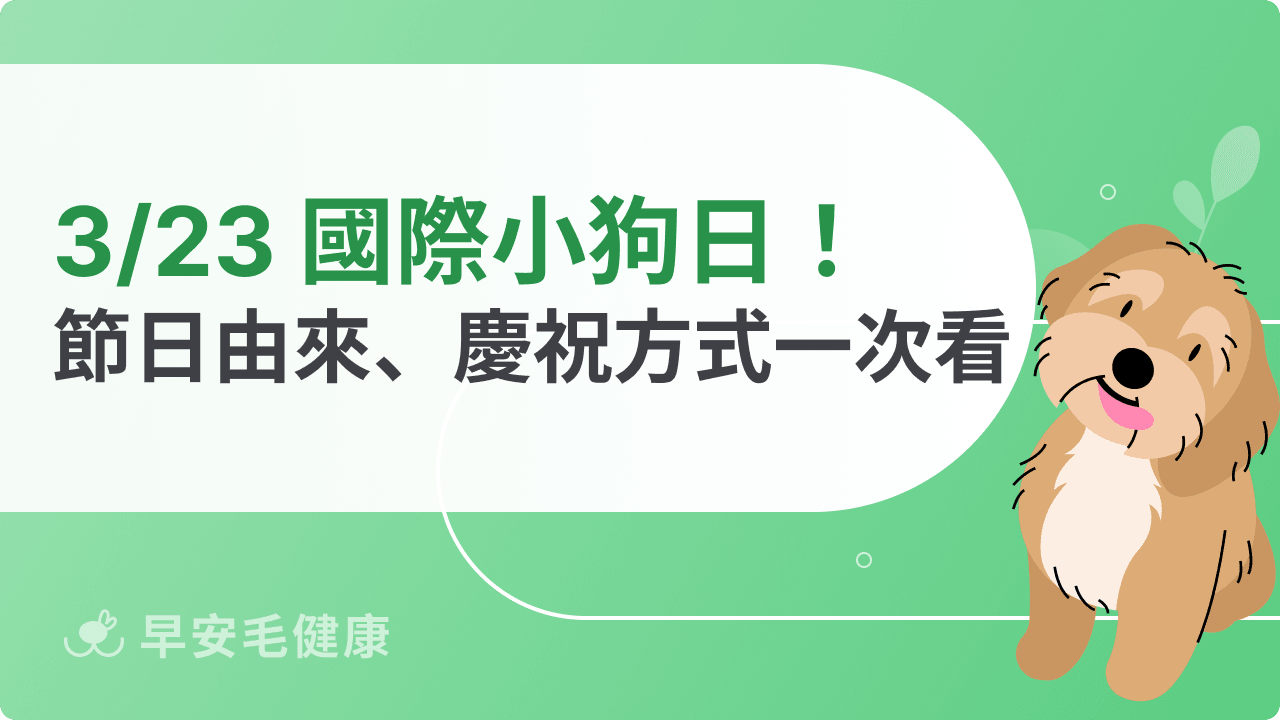 3/23 國際小狗日！節日由來、意義與4大慶祝方式報你知！