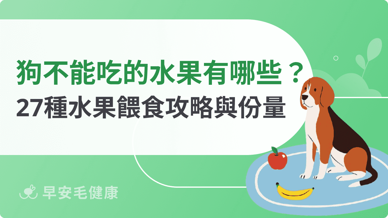 狗狗不能吃的水果有哪些？27種安心與禁忌水果清單