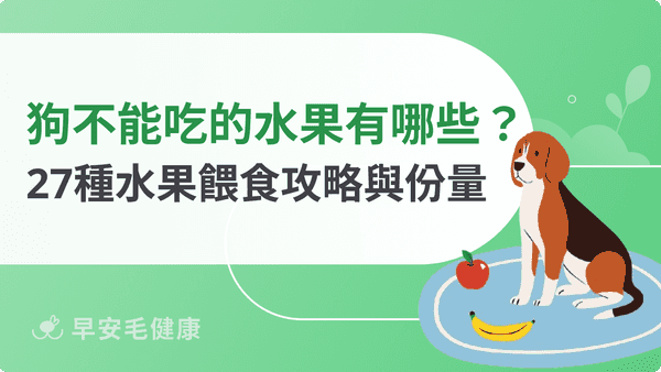 狗狗不能吃的水果有哪些？27種安心與禁忌水果完整清單