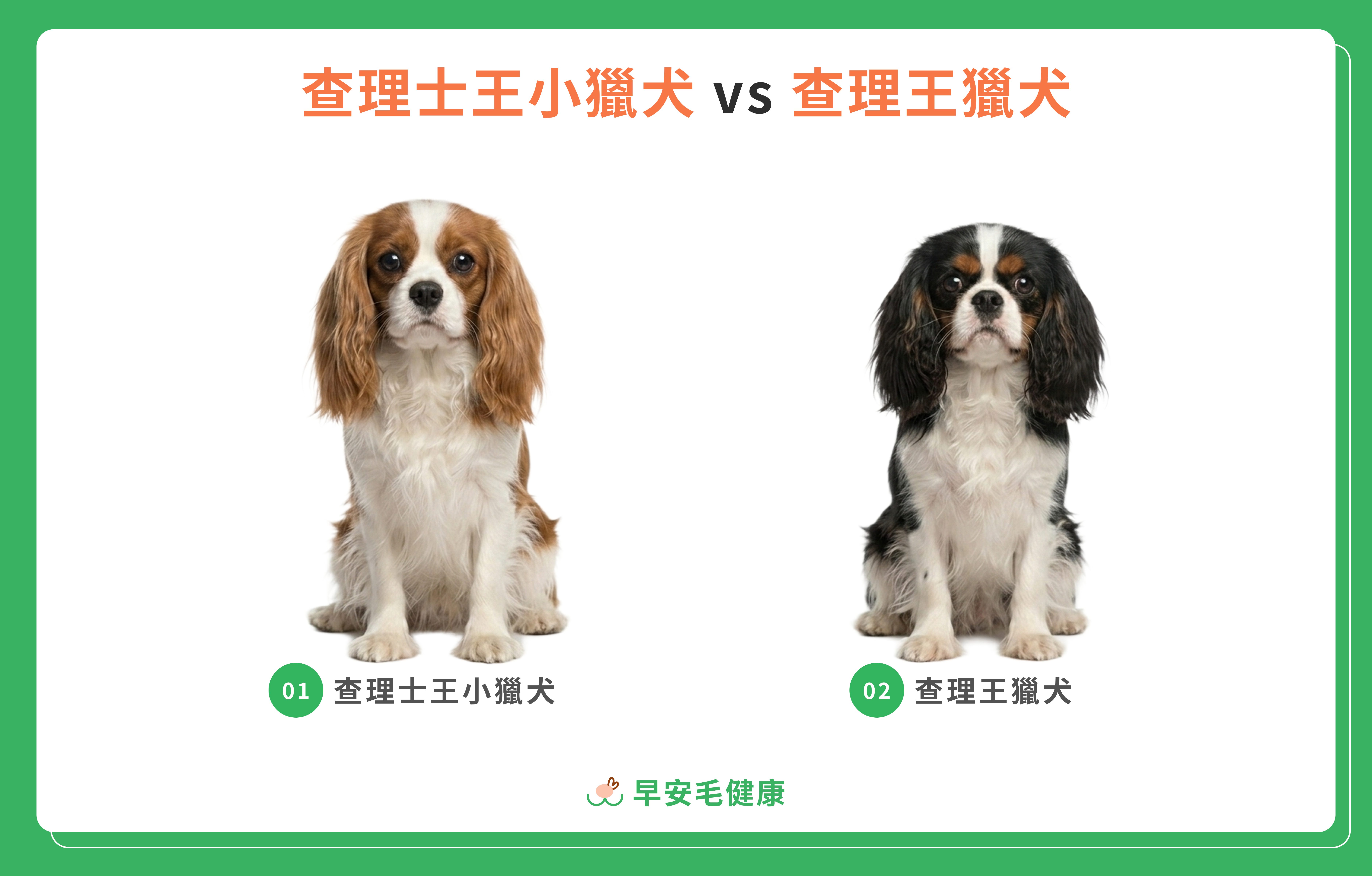 查理士王小獵犬 vs 查理王獵犬