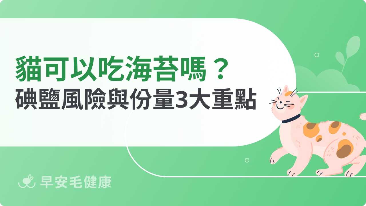 貓可以吃海苔嗎？碘與鹽分風險與安全份量