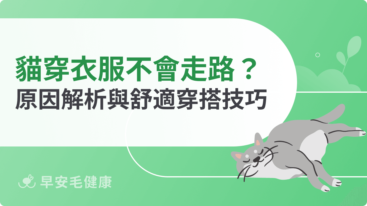 貓咪穿衣服不會走路？原因解析與舒適穿搭技巧